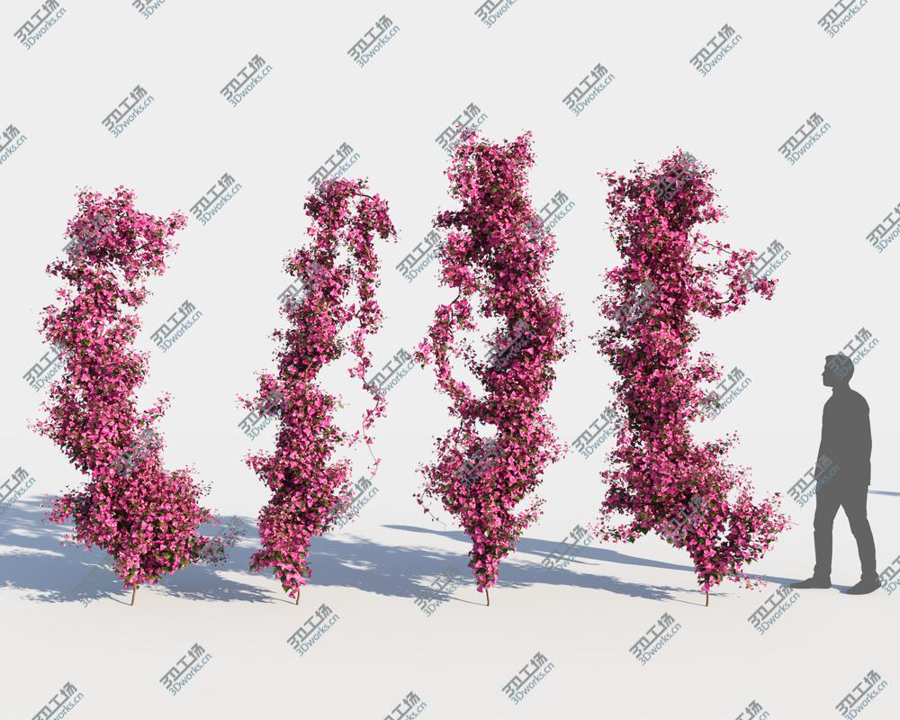 images/goods_img/202104092/3D Bougainvillea Collection (-GrowFX) model/5.jpg